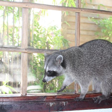 Apartment Close To The Town Utopia Isla Holbox Ngoại thất bức ảnh