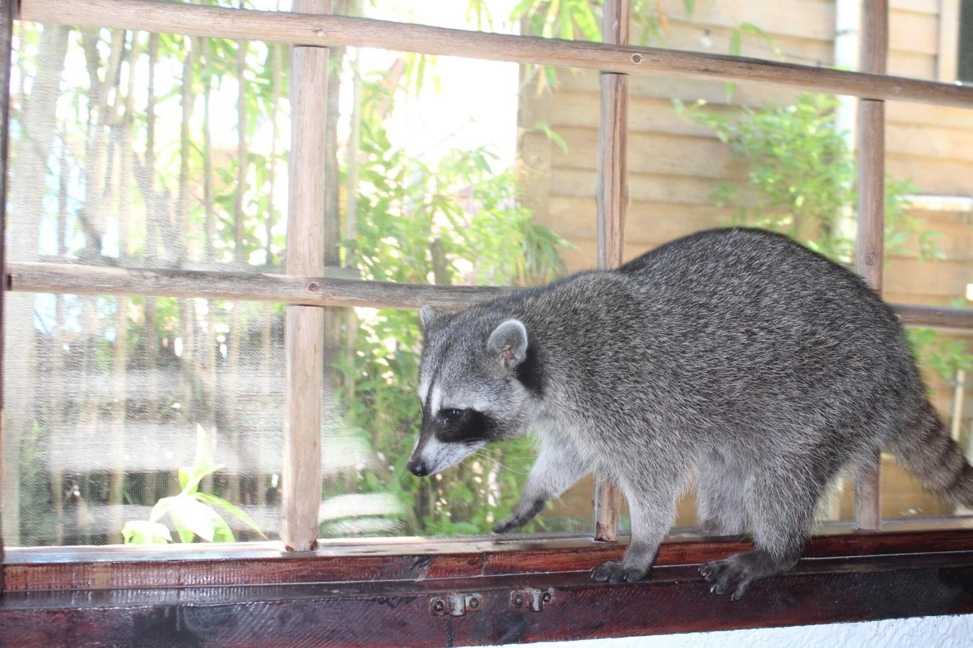 Apartment Close To The Town Utopia Isla Holbox Ngoại thất bức ảnh
